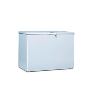 Congelador Horizontal Challenger 387 Litros Brutos CH363/16.3639.14.02