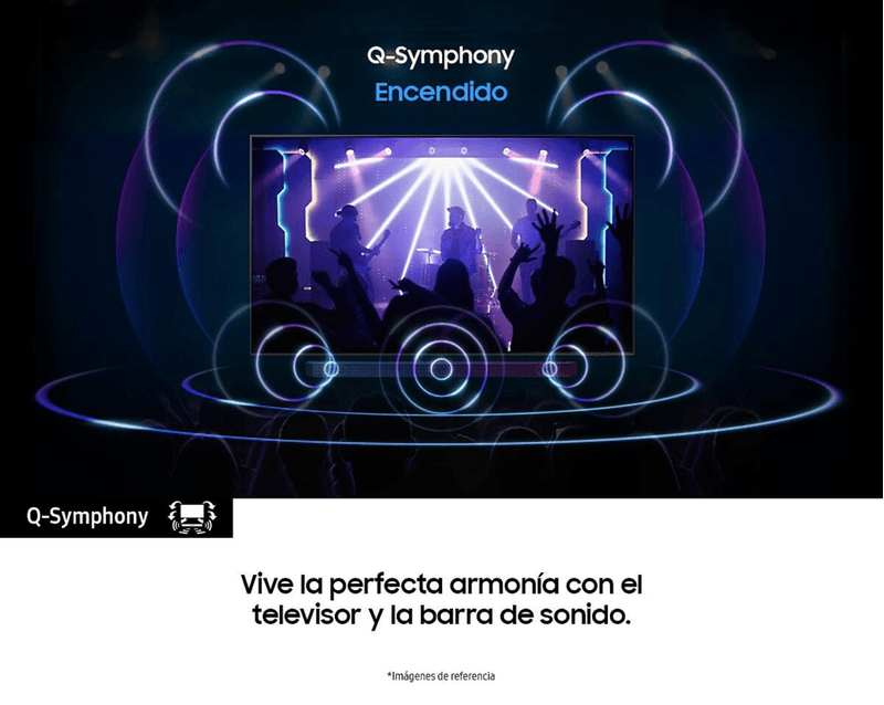 23746-TV--10--.png