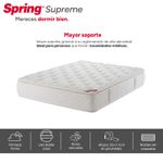 Supreme_140x190_2.jpg