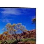 24090--5-.webp